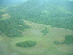 From the plane
