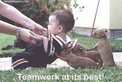 Team Work Helps
