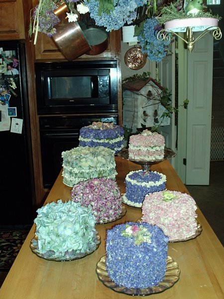 Here's a collection of dried flower cakes - just another excuse to use flowers