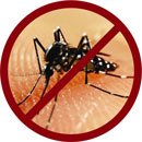 Stop Dengue - Since we can"t stop G8 Summits