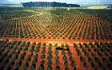 If our coffee farmers are paid their dues Kenya would be a shining star