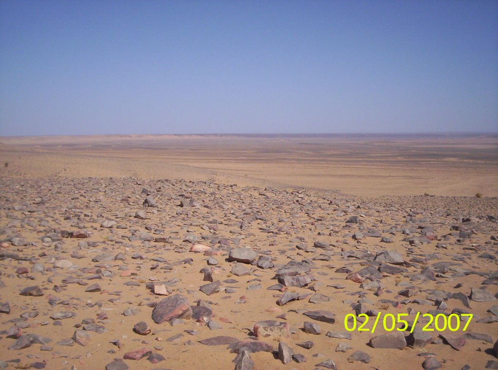 desierto de piedras