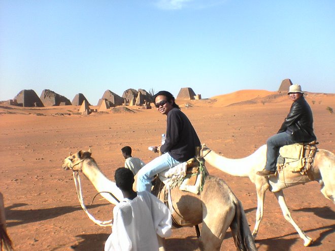 Camel Anyone?
