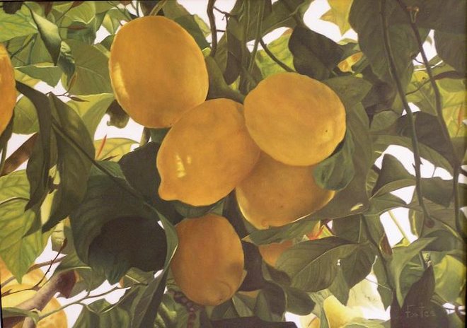 Limones de Mondrón
