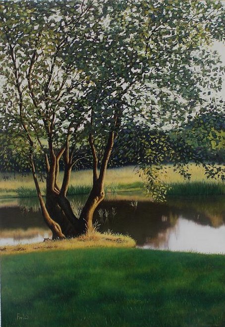 Un árbol en el lago