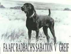 FC/AFC Radbach's Sabation v Greif