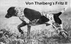 Von Thalberg's Fritz II