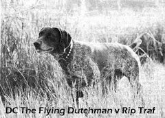 DC The Flying Dutchman v Rip Traf