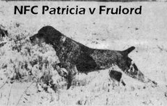 NFC Patricia v Frulord