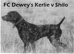 FC Dewey's Kerlie v Shilo