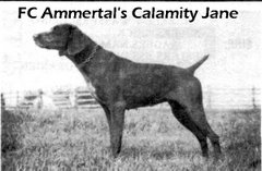 FC Ammertal's Calamity Jane