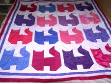Kitty quilt top