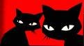 los gatos libres