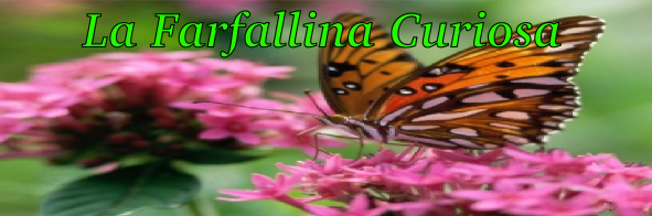 La farfallina curiosa