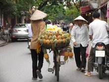Bringing Pineapple to Market