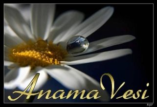 AnamaVesi