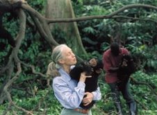Jane Goodall: An Advocate For Sentient Life