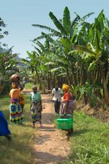 Colorful women walking from the river to the market