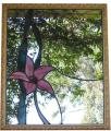Orchid Mirror