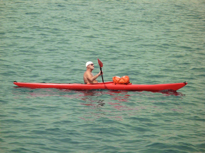 Zissou Spotted