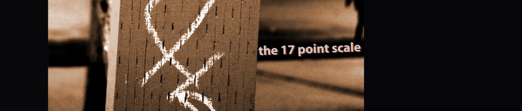 The 17 Point Scale