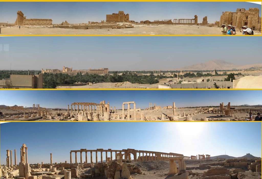 ...........Mas vistas de Palmyra