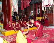 Asian Tibetan Debate