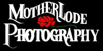 Motherlode Photography