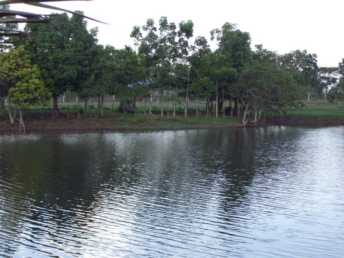 Ramos Pond, Macatbong, Cabanatuan City, Philippines