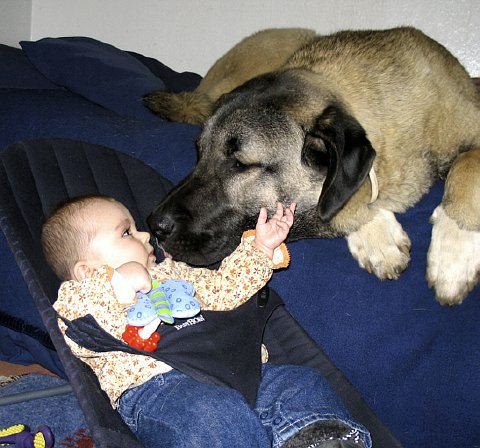 Kid and Dog