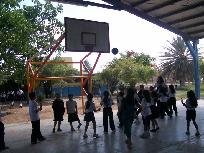 mini olimpiada de basket-bol