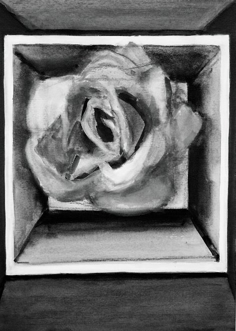 Série Flores 2, 2004