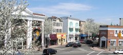 Cranford,NJ