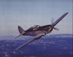 The Original Flying Prowler