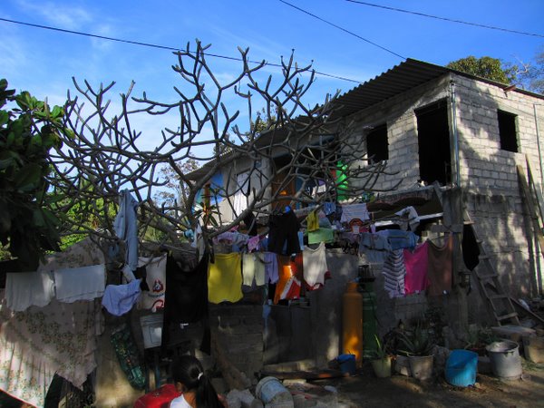 The colorful laundry tree