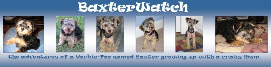 Baxter Watch
