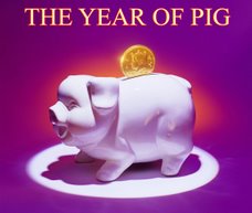 HAPPY NEW YEAR of PIG !!!