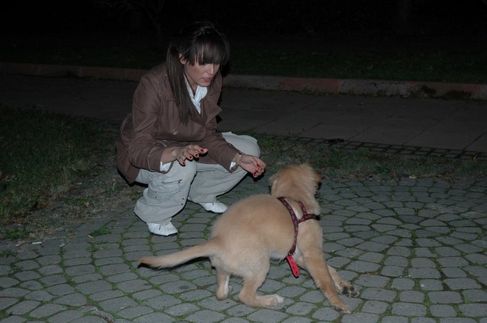 Annemle gezerken=)