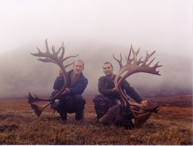 Tundra Kings