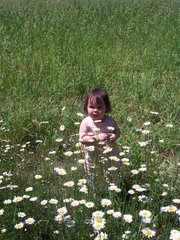 Esther among the Daisies, June 2006