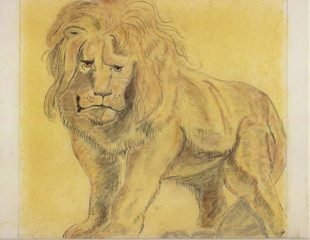 Rubens lion ~1618