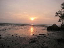 Chek Jawa sunrise