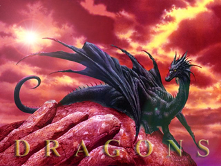 BLACK DRAGON - CRNI ZMAJ