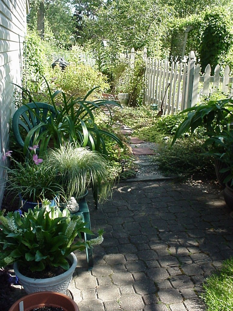 a garden path