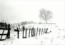 Fence and snow in Altamont