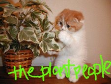 theplantpeople