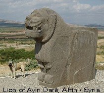 Lion of AYIN DARA near AFRIN