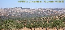 Village of MISKê near Afrin