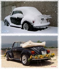 Winter and Summer