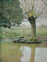 Benbows Pond c1966